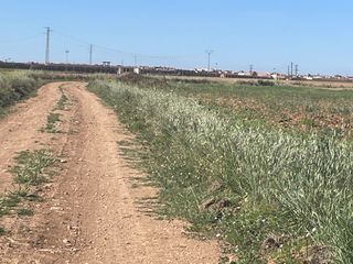 Finca rústica a Centro de Especialidades. Terreno en venta ocaña