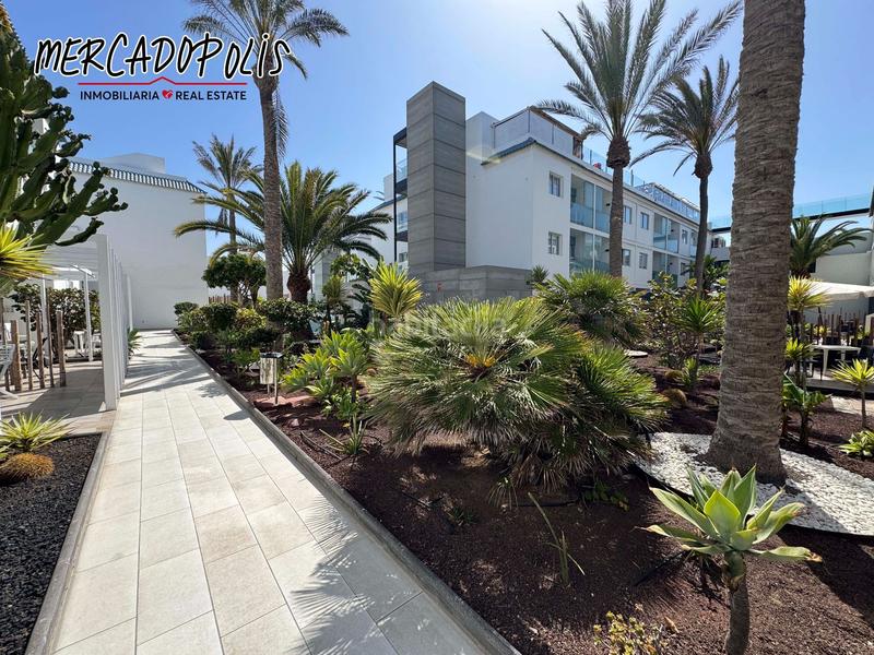 Foto 2924a398-2f3c-47ad-a89c-dfbe8a4fac19. Alquiler apartamento  en alquiler en bristol sunset beach Corralejo, fuerteventura en Oliva (La)