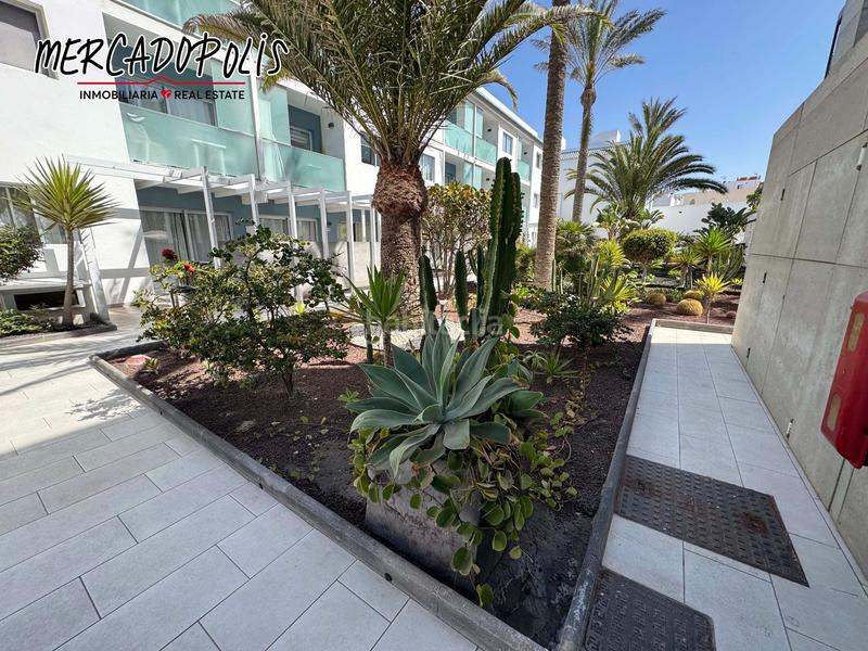 Foto 58168801-3d64-4f86-bc98-ed050957a3e3. Location appartement avec piscine dans Corralejo Oliva (La)