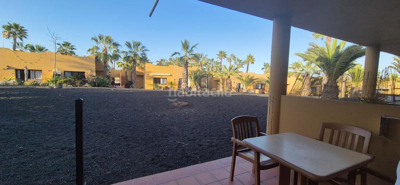 Foto c5e9ff8b-5b61-48df-aa45-3b6a1e6e0c65. Location appartement avec piscine dans Corralejo Oliva (La)