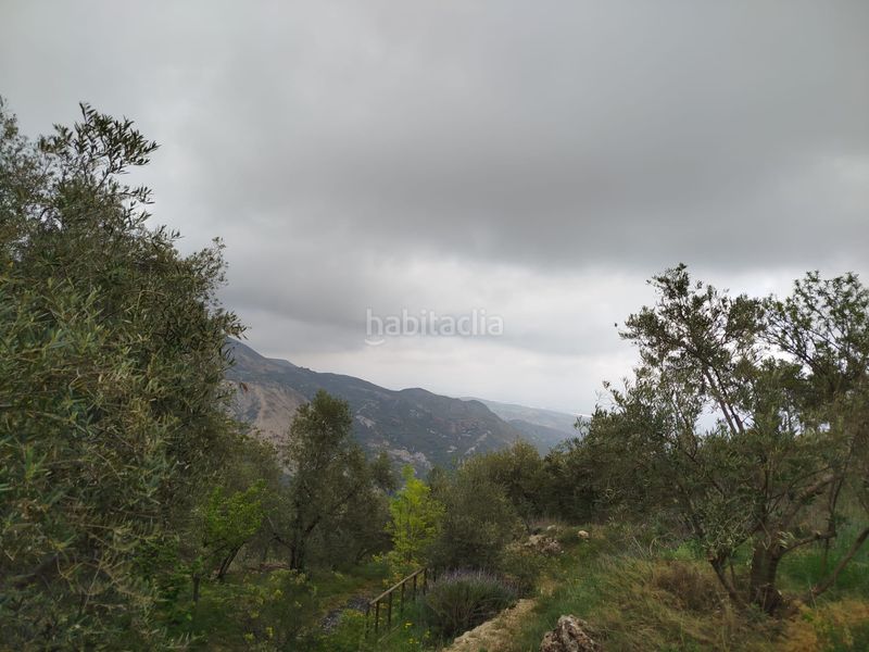 Foto 06c37f8a-0b1f-4f66-a0da-1547533c910c. Finca rústica a n/a a Alpujarra de la Sierra