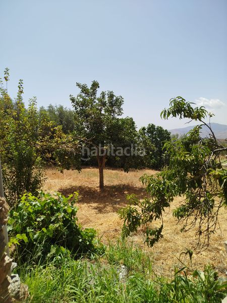 Foto 81f66ef1-18de-4c19-948f-163028b3af19. Casa amb xemeneia a Alpujarra de la Sierra