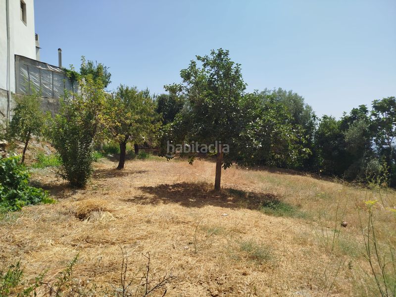 Foto 8562d5b6-516f-4813-a924-49fe68447b75. Casa amb xemeneia a Alpujarra de la Sierra