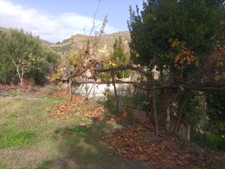 Finca rústica a Alpujarra de la Sierra. Finca con cortijo en el golco
