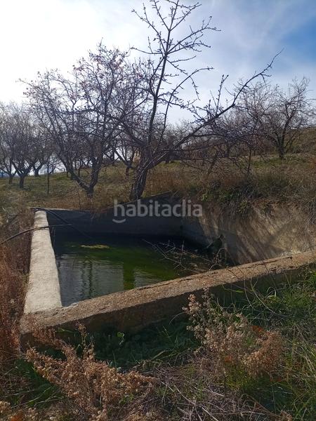 Foto 4c8757d5-369a-46c9-9d68-812a1d001564. Finca rústica terreno con cortijo en mecina bombaron en Alpujarra de la Sierra