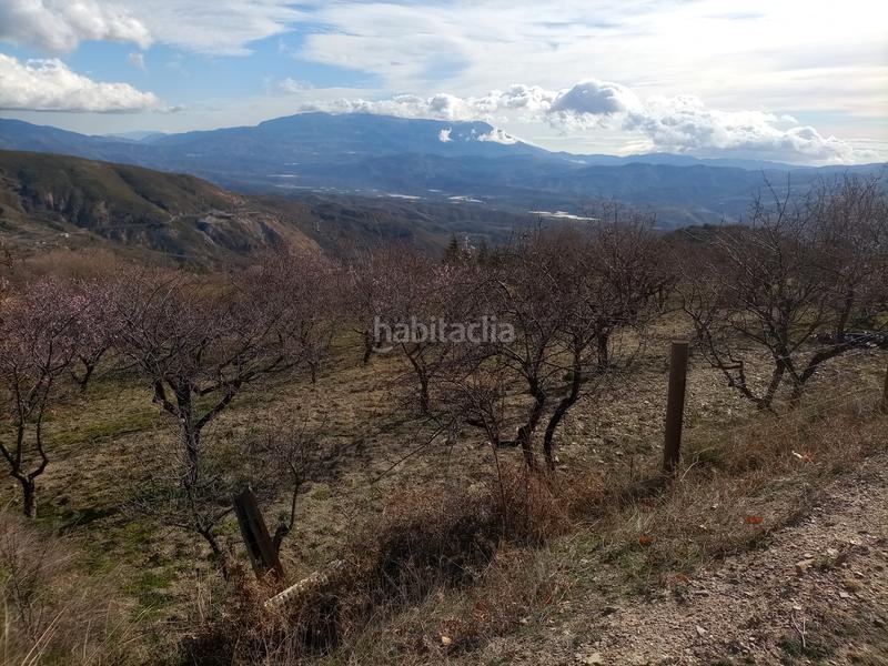 Foto 6df8f77b-cb74-41eb-84d1-666f0894859b. Finca rústica terreno con cortijo en mecina bombaron en Alpujarra de la Sierra