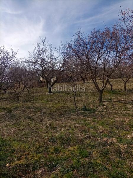 Foto bd5abefe-e5cc-4190-8881-ee6bc2eab0d0. Finca rústica terreno con cortijo en mecina bombaron en Alpujarra de la Sierra