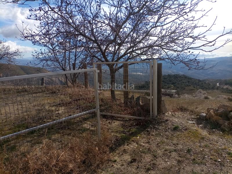 Foto c5cc45fa-d80a-4545-abeb-1a42c7829ef5. Finca rústica terreno con cortijo en mecina bombaron en Alpujarra de la Sierra