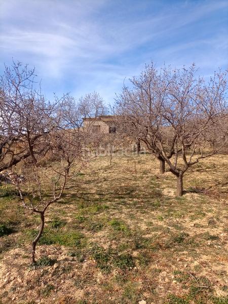 Foto dc78491a-c17e-4454-b804-ca8dd6e6cf88. Finca rústica terreno con cortijo en mecina bombaron en Alpujarra de la Sierra
