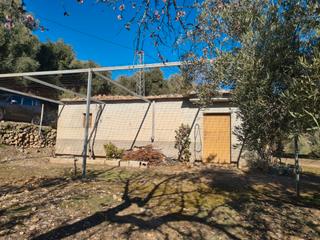 Finca rústica a N/a. Terreno de 5000mts con cortijo de 45mts