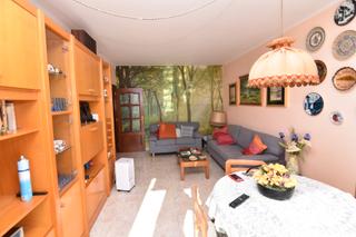 Etagenwohnung in Carrer tribala 46. ¡descubre tu nuevo hogar en el corazón de pineda!