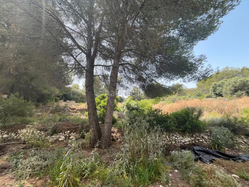 Foto 191d4ba9-9f9d-495f-8d26-e1a9c8e65ebe. Chalet dans Partida Comunes-Adsubia Xàbia