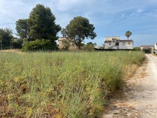 Terreny residencial a Partida Tosal - Zona dels Castellans