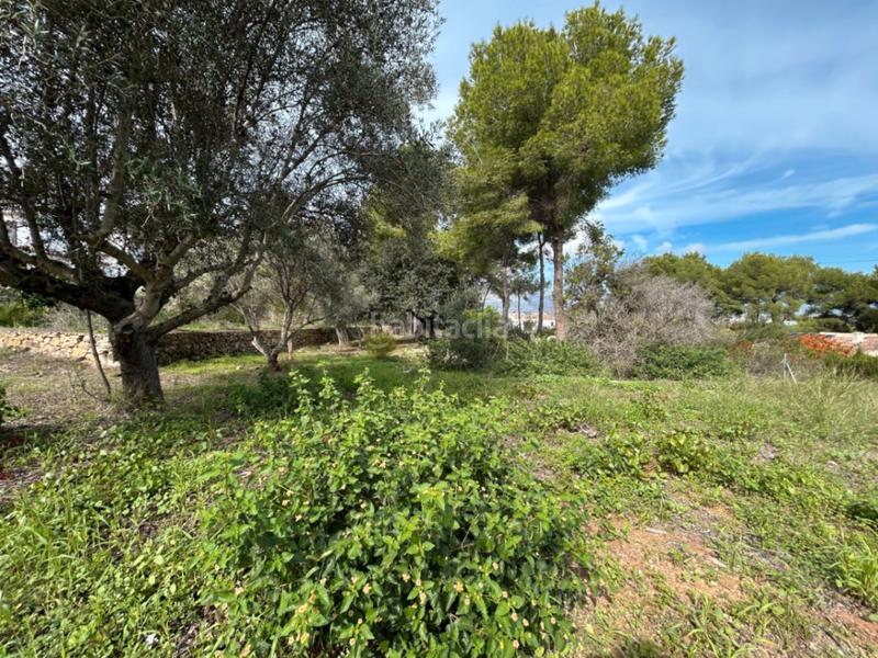 Foto d43c794a-2964-49a9-809e-1dcb0cda7580. Terreny residencial a Partida Comunes-Adsubia Xàbia