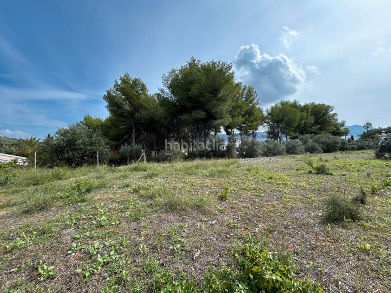 Foto 26182d60-78fc-41f8-8f76-771e76a90dc9. Terreno residenziale in Partida Comunes-Adsubia Xàbia