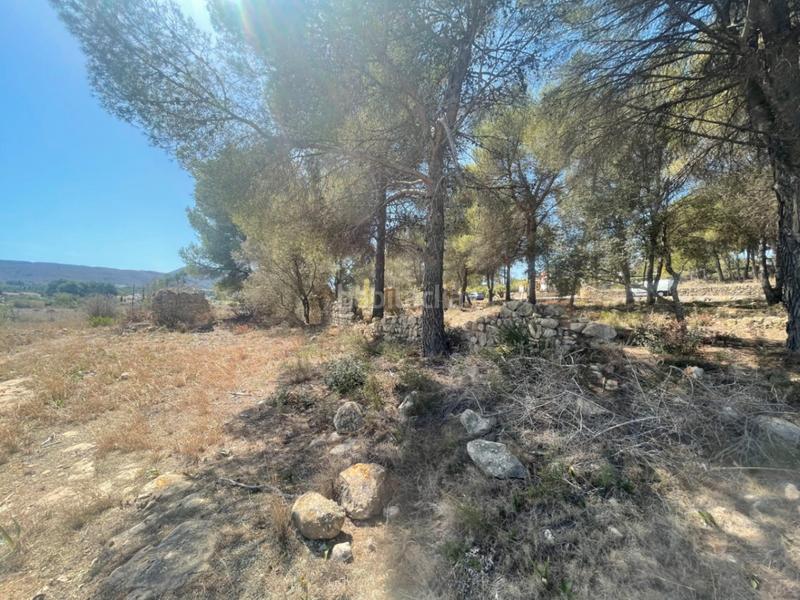 Foto a27e1dd8-813a-49e5-ae80-47d705c2e140. Terreny residencial a Centro Ciudad Xàbia