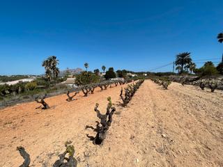 Terrain résidentiel à Centro