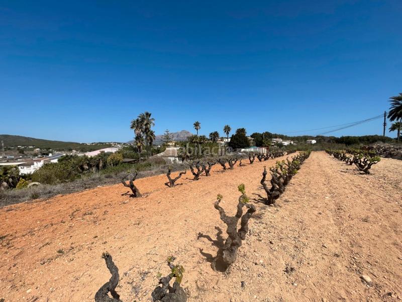 Foto 89966a4a-206e-4bda-9c9c-be1ea893849f. Wohngrundstück in Centro Poble Nou de Benitatxell (el)