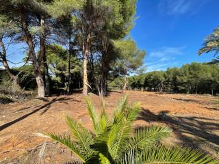 Terreny residencial a Partida Comunes-Adsubia