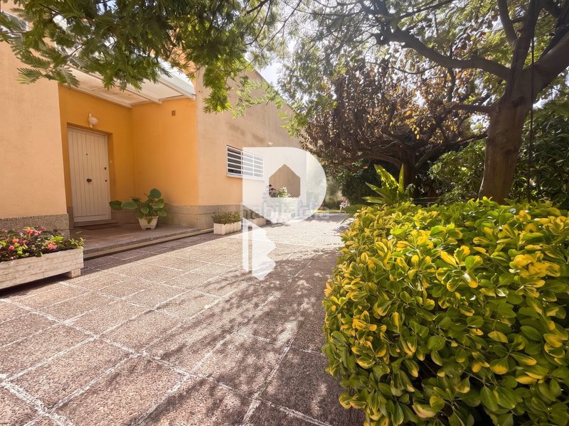 Foto bfe4ef75-fa85-4d4f-a97e-557bd956a8b2. Casa  en una sola planta con terreno plano en Cervelló