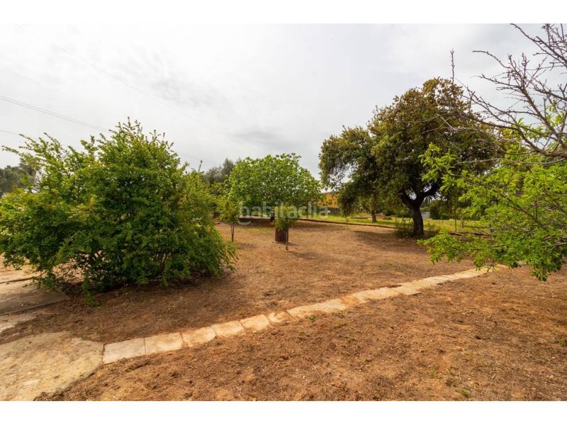 Foto 0ff3114c-51e2-429a-87c1-e64e9dfdeaf0. Finca rústica a Dehesilla de Calamón - Campomanes Badajoz