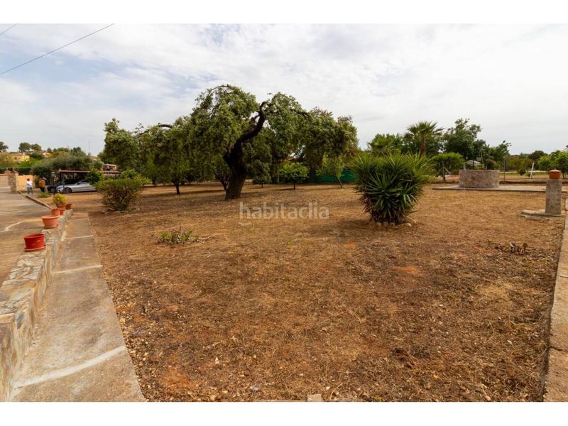 Foto 143b6b8a-e0fa-4bbe-bad3-56fa46908d09. Finca rústica a Dehesilla de Calamón - Campomanes Badajoz