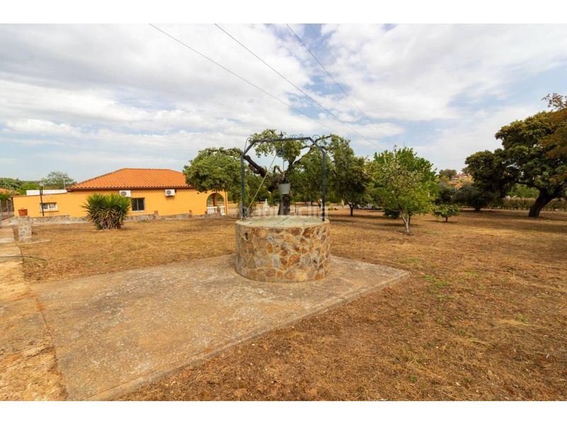 Foto ac33375a-ee82-4f81-8be7-ee70d1609f71. Finca rústica a Dehesilla de Calamón - Campomanes Badajoz