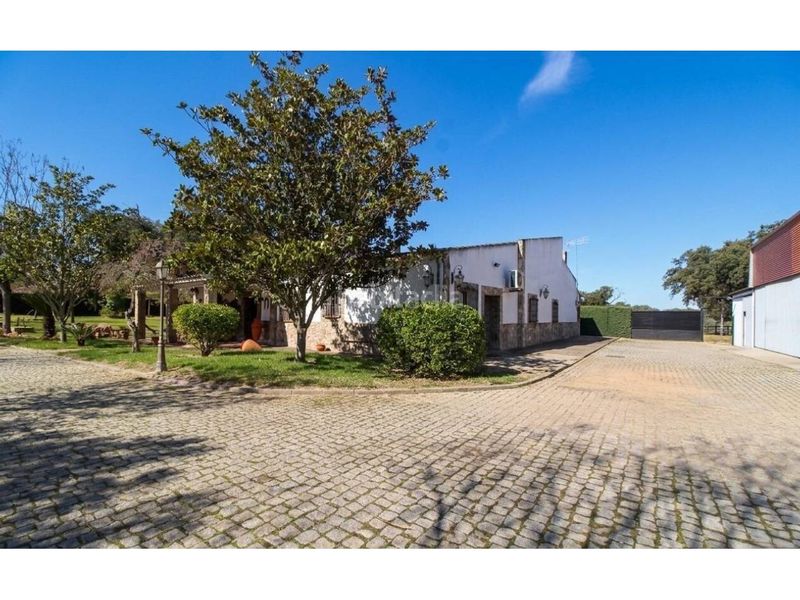 Foto 0e77f9e2-603f-48a9-8fc0-03c42e221456. Terreny residencial a Carretera de Sevilla - Los Montitos Badajoz