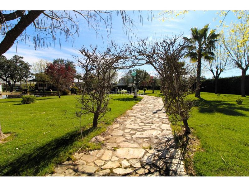 Foto 6474d3b8-5268-468e-980c-fa4ad260bf03. Terreny residencial a Carretera de Sevilla - Los Montitos Badajoz