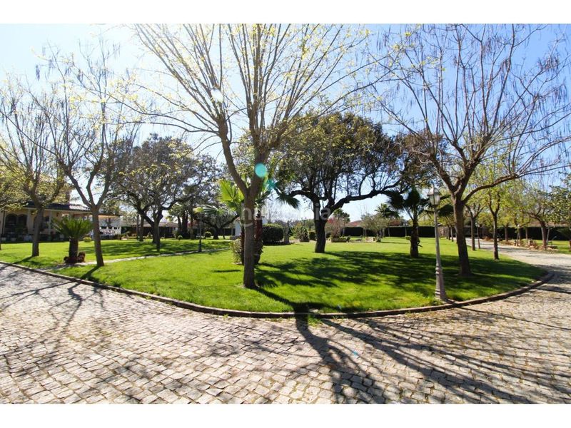 Foto 69a57a9b-e696-444a-97d5-d61e28e35712. Terreny residencial a Carretera de Sevilla - Los Montitos Badajoz