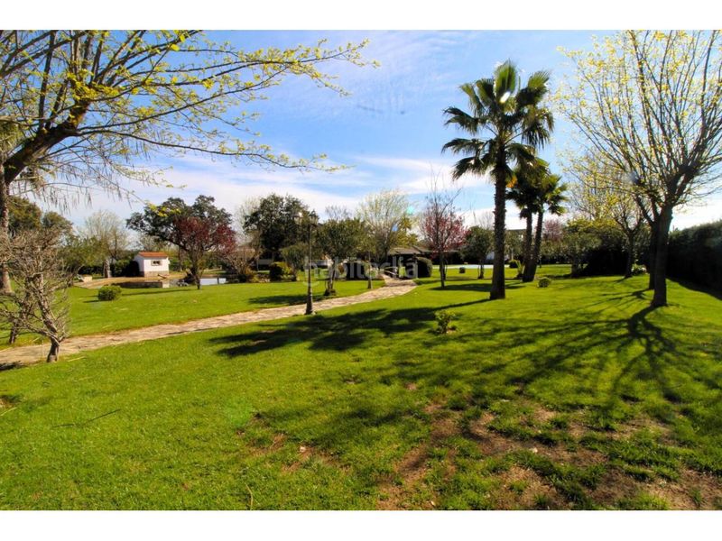 Foto 9c077146-105a-49b9-b362-2cdaf81f2385. Terreny residencial a Carretera de Sevilla - Los Montitos Badajoz