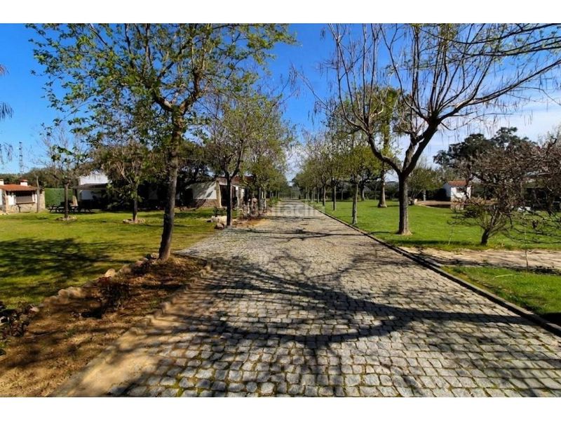 Foto ba5e2e3f-e773-42a2-bdba-7ed332863a99. Terreny residencial a Carretera de Sevilla - Los Montitos Badajoz