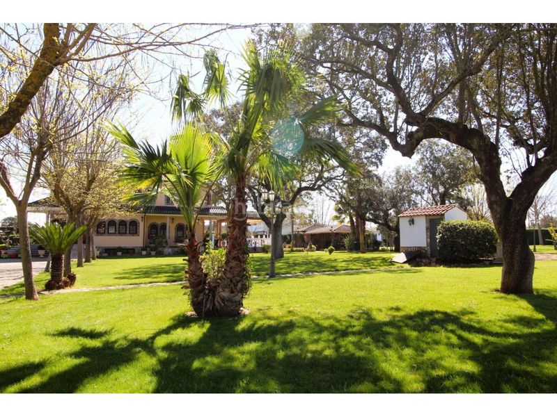 Foto c0c0bba1-4ff9-4486-815c-27ad1126c5cf. Terreny residencial a Carretera de Sevilla - Los Montitos Badajoz