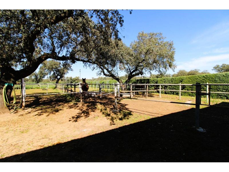 Foto ea0693a5-8b66-4052-a921-9777623be563. Terreny residencial a Carretera de Sevilla - Los Montitos Badajoz