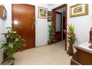 Piso en San Roque - Ronda Norte