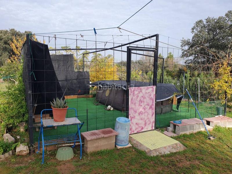 Foto 7cf0a726-113e-4ea4-b784-856c4d667c9c. Terreno residencial parcela en campomanes en Dehesilla de Calamón - Campomanes Badajoz