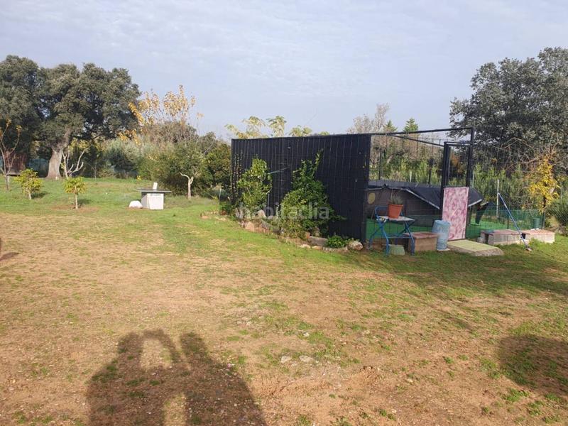 Foto a42d362a-f47a-4d62-8abb-887969592274. Terreno residencial parcela en campomanes en Dehesilla de Calamón - Campomanes Badajoz