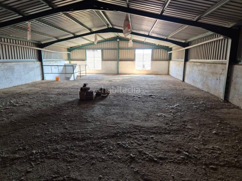 Foto 2dce0bcc-61b0-409c-8abf-4c2f81fd3950. Local comercial nave en venta en cerro reyes06010 en Badajoz