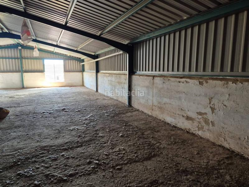 Foto 5c79429d-c9a9-41e1-b36f-888ab413b8c4. Local comercial nave en venta en cerro reyes06010 en Badajoz
