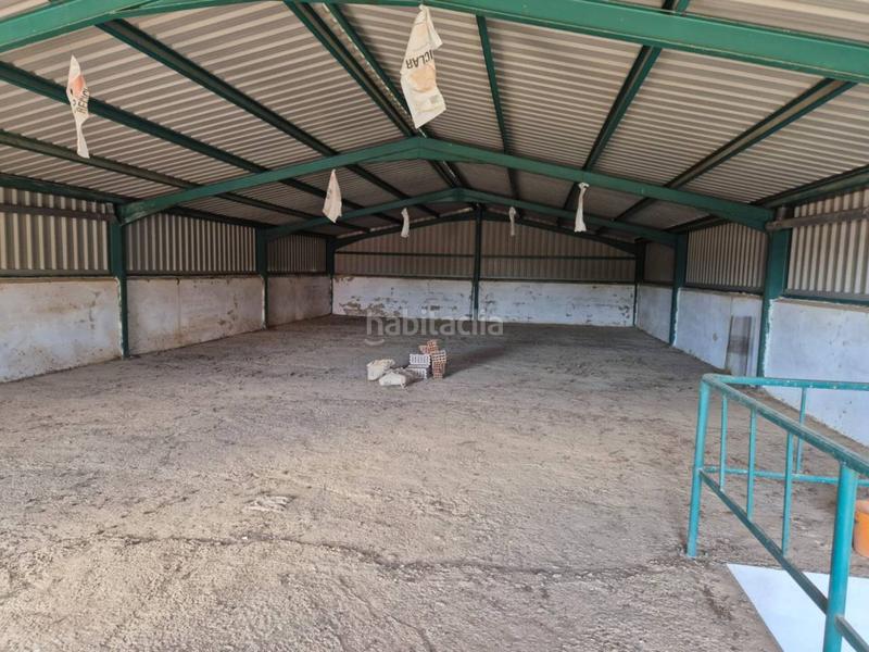 Foto b02fa169-bc25-48f7-b670-438ee19de173. Local comercial nave en venta en cerro reyes06010 en Badajoz