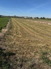 Finca rústica a Partida la Capitana