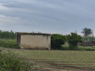Rural plot  Partida la capitana. Amplio terreno con casita de aperos en guardamar!
