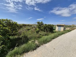Finca rústica a Partida la Capitana