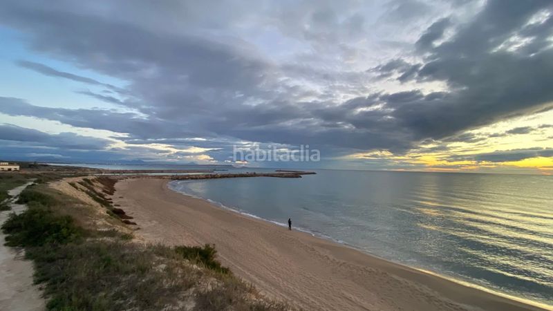 Foto 0c16cbb0-6235-4f6e-b6f3-eb4e9d28d17d. Pis a La Marina Elche / Elx
