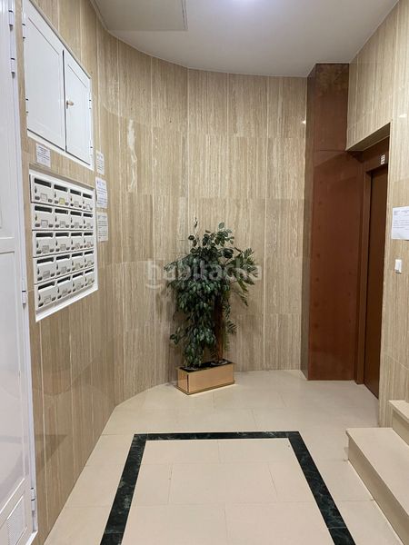 Foto 1c68c9c8-fdf6-46bd-a221-f185d43d8fd4. Pis a La Marina Elche / Elx
