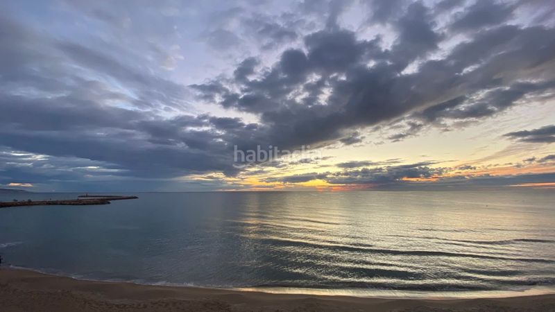 Foto cb564cd5-1600-4b28-9dba-585215c63d4d. Pis a La Marina Elche / Elx
