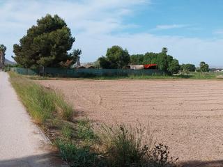 Fondo rustico  Partida la capitana. Bonito terreno en venta en guardamar