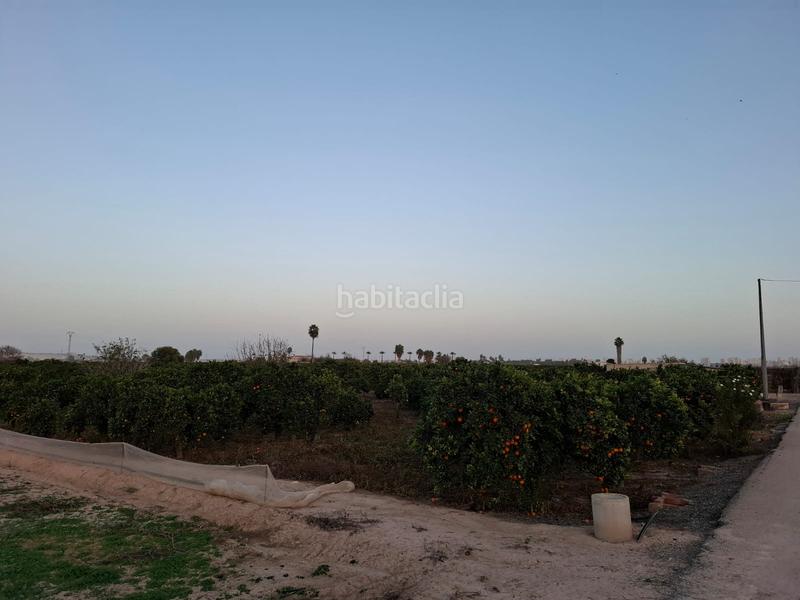 Foto 05149b3d-f2ea-45b2-ac82-df376aaced9f. Rural plot in Puerto Deportivo Guardamar del Segura