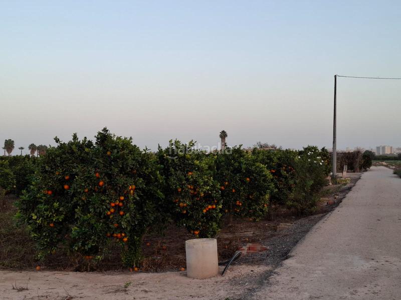 Foto 502c1faa-e5f4-4604-906c-c98ffc1099a7. Rural plot in Puerto Deportivo Guardamar del Segura