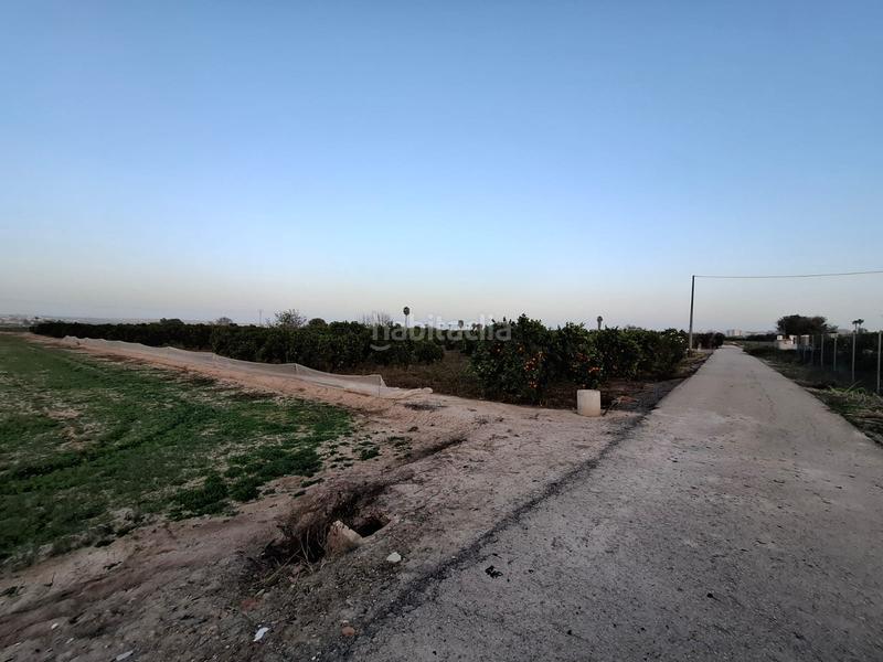 Foto 61b16b50-7ec9-4f6f-be68-43a7ccb3f055. Rural plot in Puerto Deportivo Guardamar del Segura